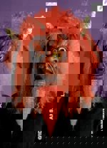 Maska latex Čert bradka