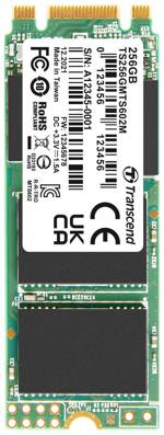 Transcend MTS602M 256 GB interní SSD disk SATA M.2 2260 SATA III Industrial TS256GMTS602M