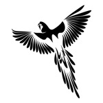 Samolepka papoušek Ara na auto a motorku, tuning nálepka (5615)