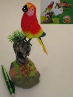 Papoušek zpívající