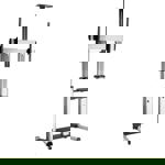 Přenosný stojan na televizor Roline