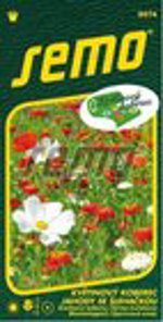 SEMO Květinový koberec JAHODY SE ŠLEHAČKOU