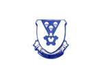 Odznak DUI - 503rd Airborne Infantry Regiment • 173rd Airborne Brigade • The Rock