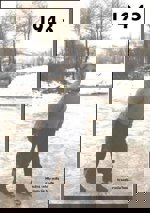 1943 - Co se stalo v roce, kdy jste se narodili