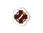 Odznak DUI - 399th Combat Support Hospital