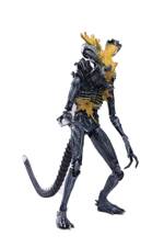 Aliens - sběratelská figurka Alien Warrior (Headshot) Previews Exclusive 11 cm