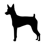 Samolepka toy fox teriér na auto a motorku, tuning nálepka (4937)