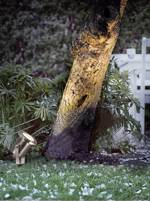 Nordlux 77029934 Taurus LED zahradní reflektor LED GU10 28 W nerezová ocel