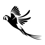 Samolepka letící papoušek na auto a motorku, tuning nálepka (5144)