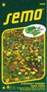 SEMO Květinový koberec TISÍCE SVĚTEL