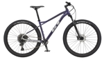 GT Bicycles GT AVALANCHE 29" EXPERT (G27101M20/PUR) M