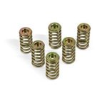 Spojkové pružiny BMW F 650/97 K60/0162 96-03