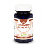 Homocystein (B6+B9+B12) tablety 100 ks
