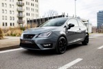 Seat Ibiza CUPRA 300